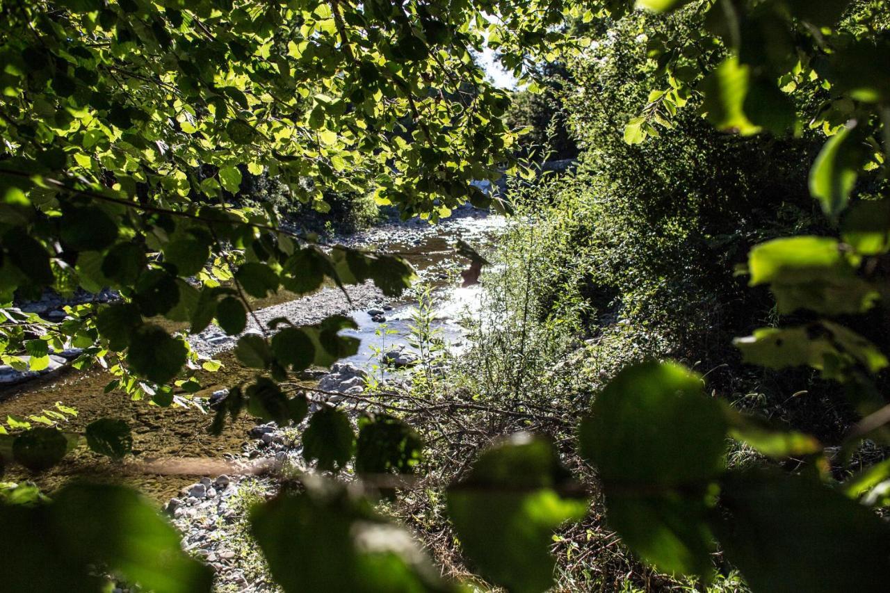 Гостьовий будинок Ponte Del Vegnuti Фівіццано Екстер'єр фото